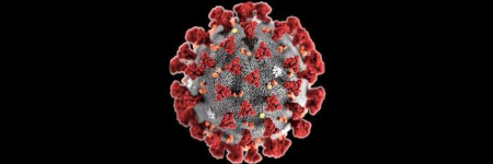 Filozofowie, etycy i badacze społeczni często analizują zagadnienia związane z pandemią oraz odpowiedziami na nią. Poniżej prezentujemy przegląd wybranych, najciekawszych artykułów okołofilozoficznych dotyczących koronawirusa.