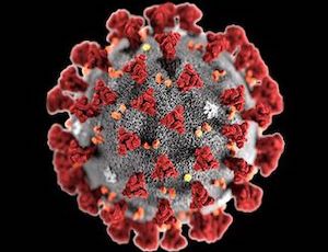 What do philosophers and social scientists say about the coronavirus?